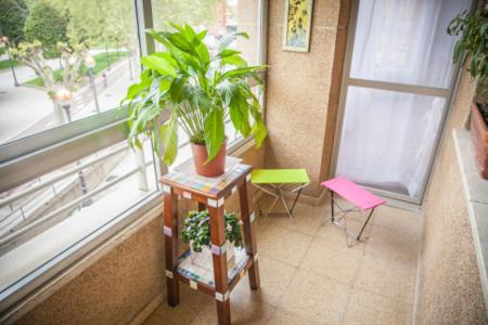 Pension Parque Del Ebro (Adults Only) Logroño Exterior foto